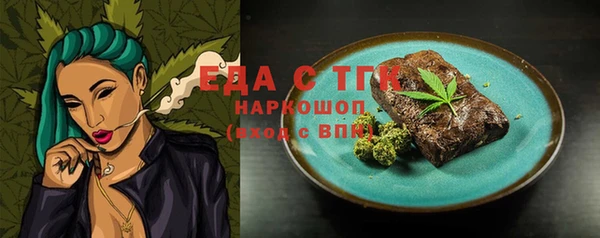 дживик Инта
