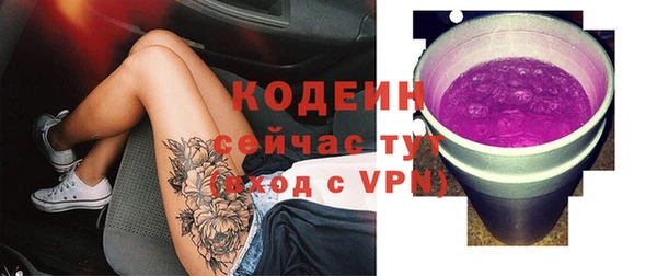 дживик Инта