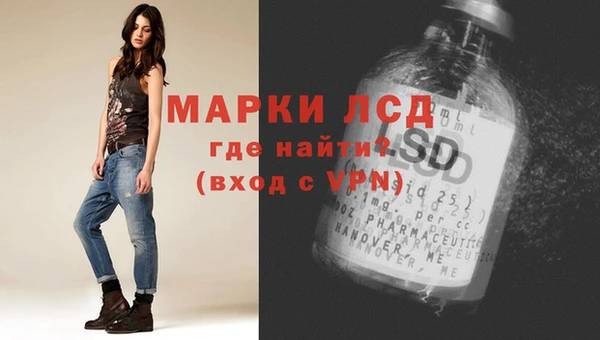 амф Инсар