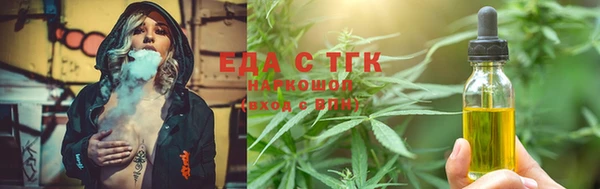 дживик Инта