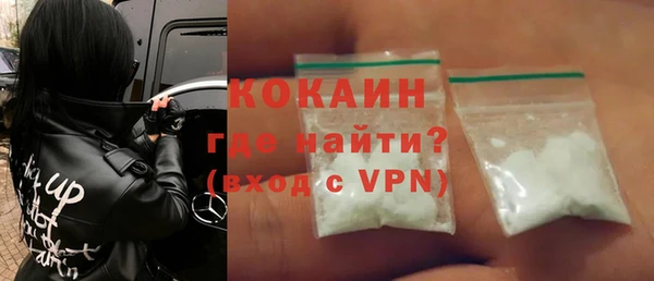 дживик Инта