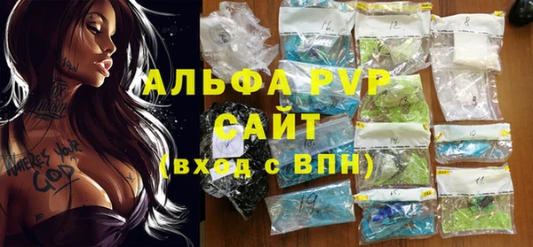 дживик Инта