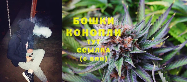 гидра Дубна