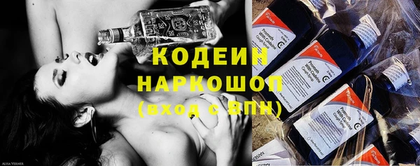 амф Инсар