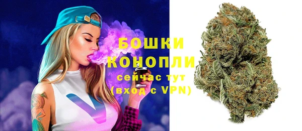 дживик Инта