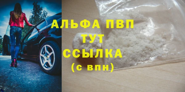 дживик Инта