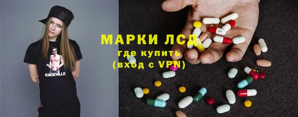дживик Инта