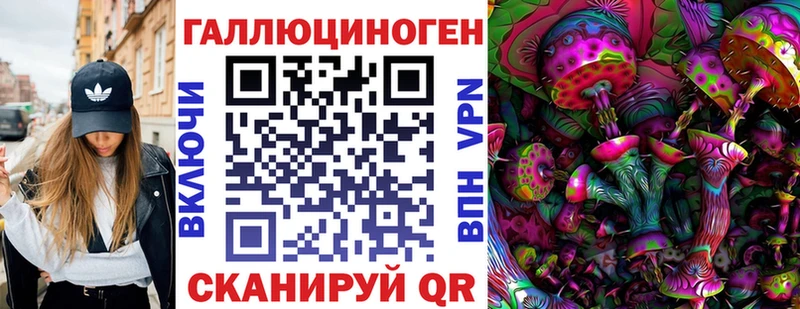 как найти закладки Каменногорск Псилоцибиновые грибы ЛСД